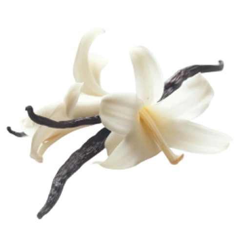 Organic Vanilla