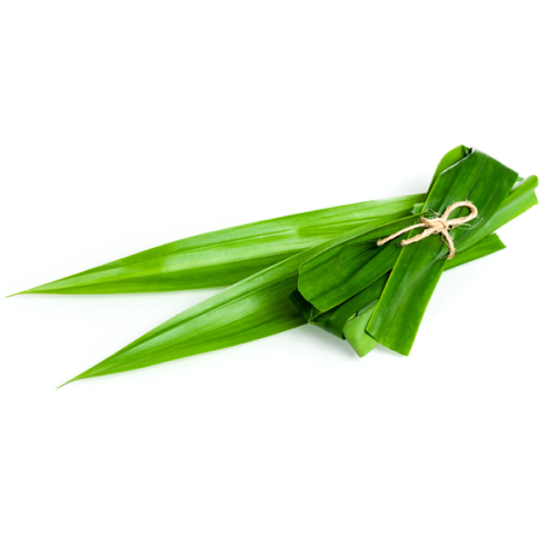 Pandan Leaf